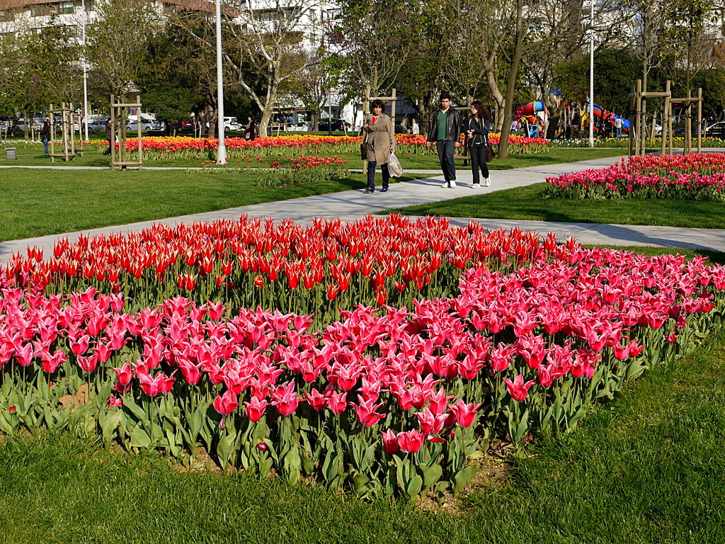 The tulip time in Istanbul